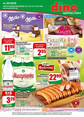 Gazetka Dino